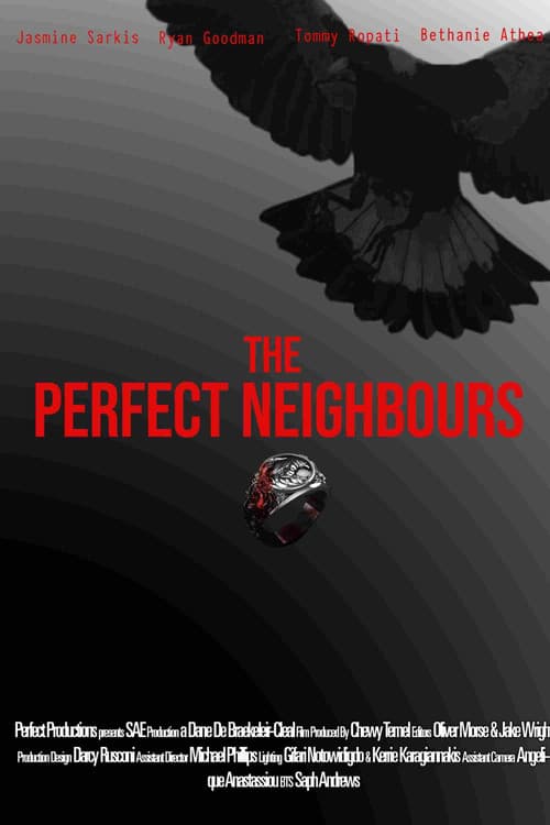 The Perfect Neighbours poster