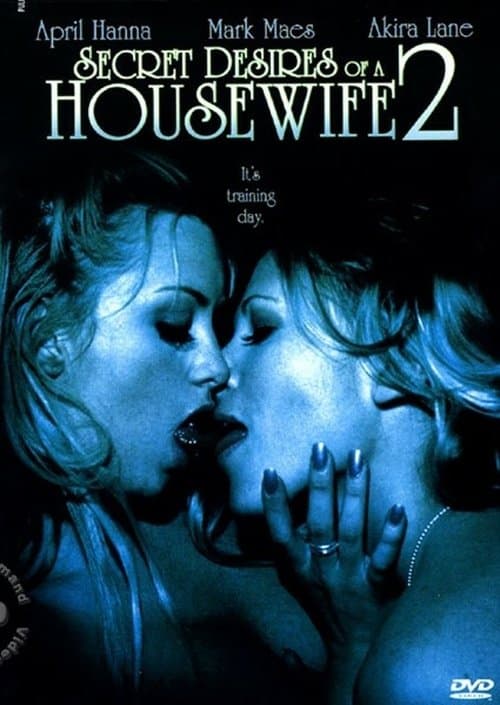 Secret Desires of a Housewife 2 poster