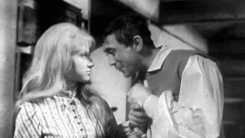 Růžová Anička poster