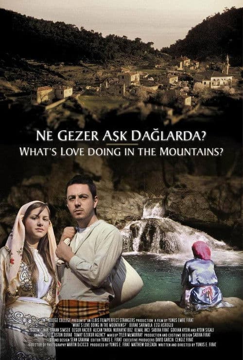Ne Gezer Aşk Dağlarda? poster