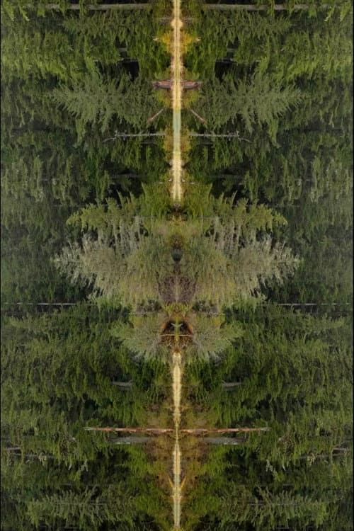 Mirrorpond poster