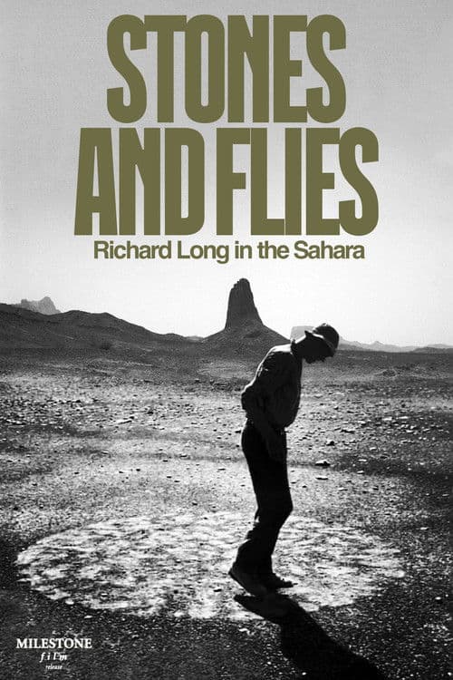 Stones and Flies: Richard Long in the Sahara poster