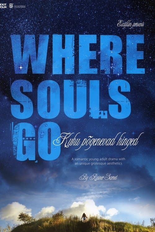 Where Souls Go poster