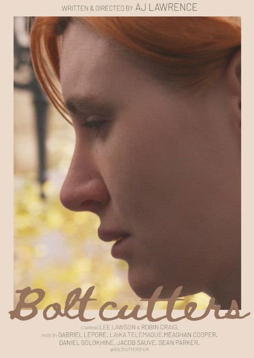 Bolt Cutters poster