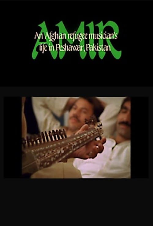 Amir: An Afghan Refugee Musician's Life in Peshawar, Pakistan poster