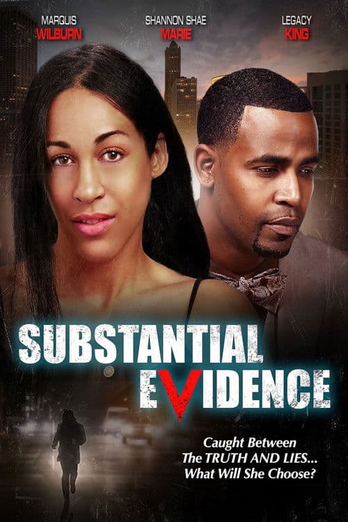 Substantial Evidence poster