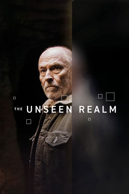 The Unseen Realm poster