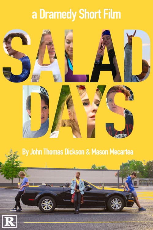 Salad Days poster