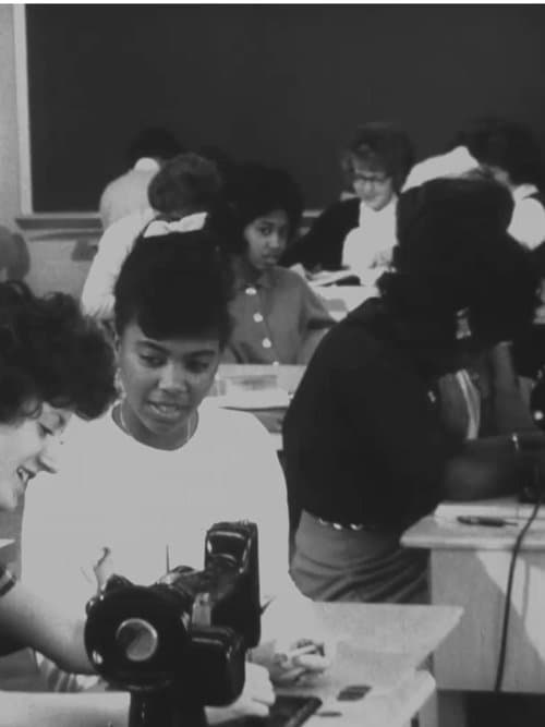 The American Negro poster