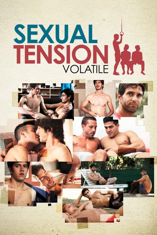 Sexual Tension: Volatile poster