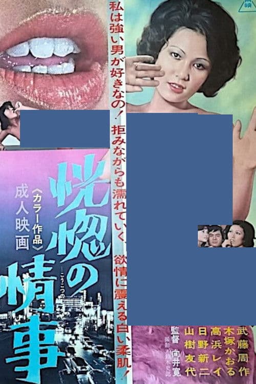 Ecstatic Affair poster