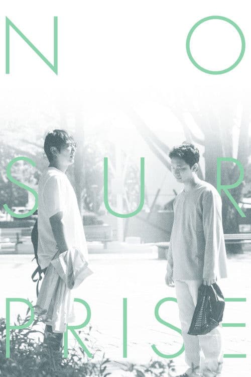 No Surprise poster