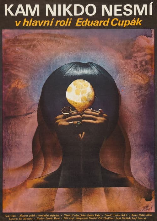 Kam nikdo nesmí poster