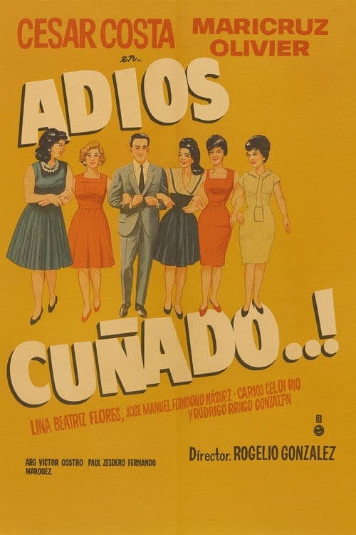 Adios cuñado poster