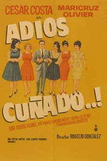 Adios cuñado poster