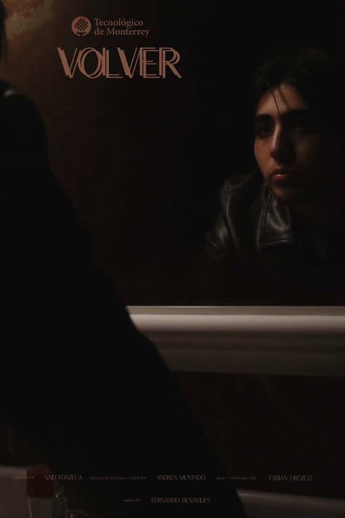 Volver poster