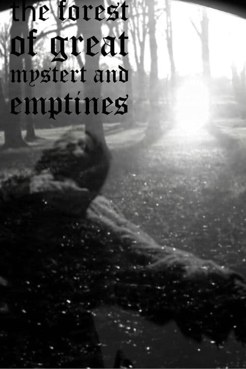 the forest of great mystery and emptiness poster