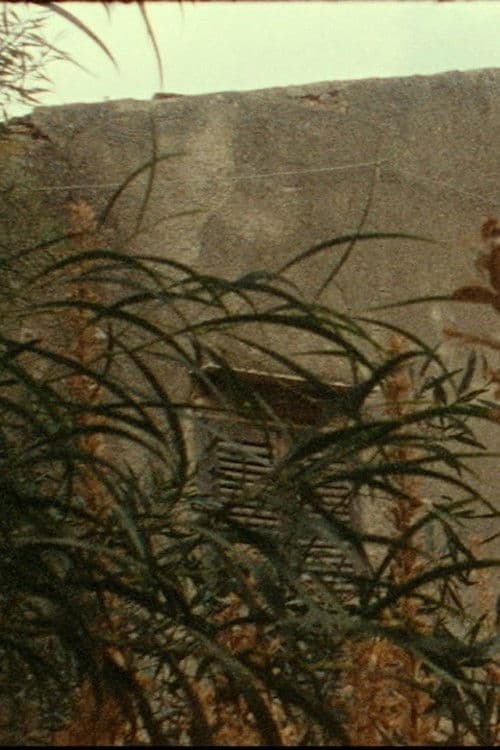 House of the Wickedest Man in the World poster