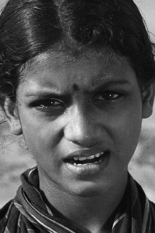 Shirin profile photo