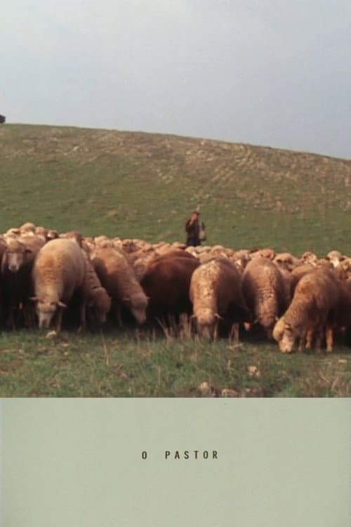 The Shepherd poster