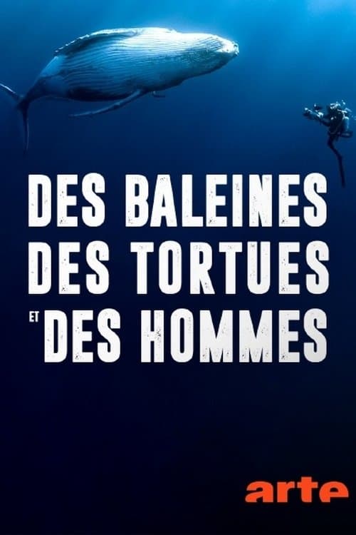 Des baleines, des tortues et des hommes poster