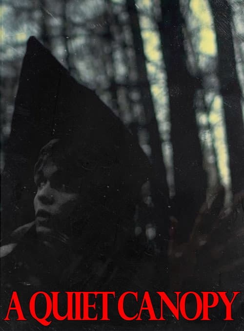 A Quiet Canopy poster
