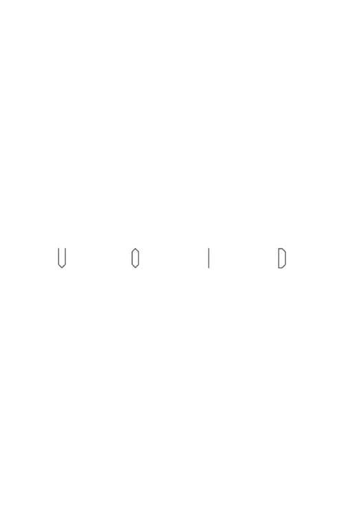Void poster