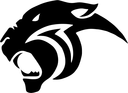 Jaguar Motion Pictures