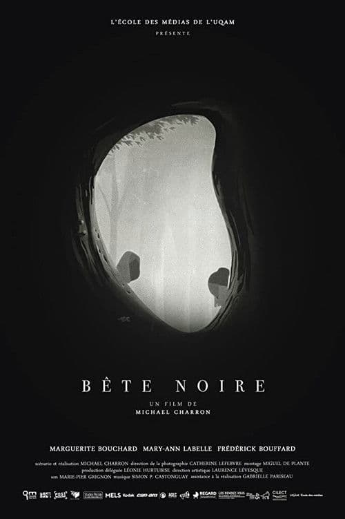 Bête noire poster