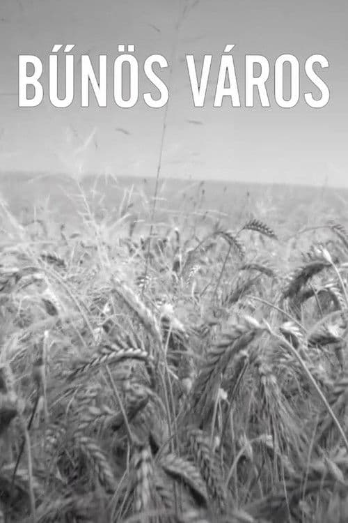 Bűnös Város poster