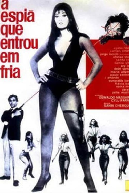 A Espiã que Entrou em Fria poster