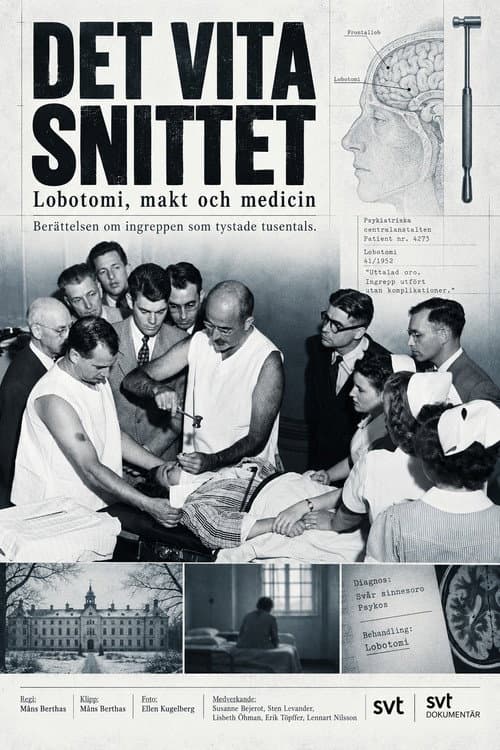 Det vita snittet poster