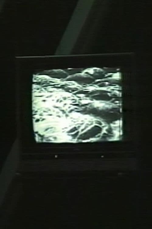 d/stabilize/d poster