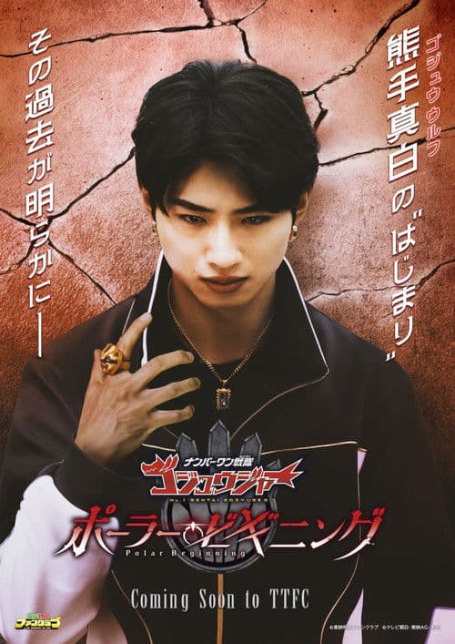 No. 1 Sentai Gozyuger: Polar Beginning poster