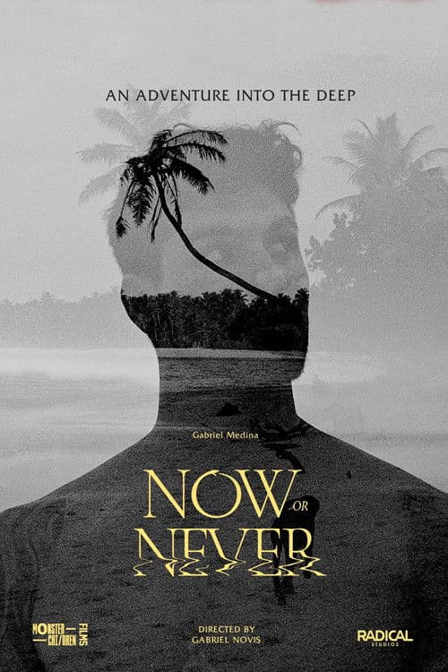 Now or Never poster