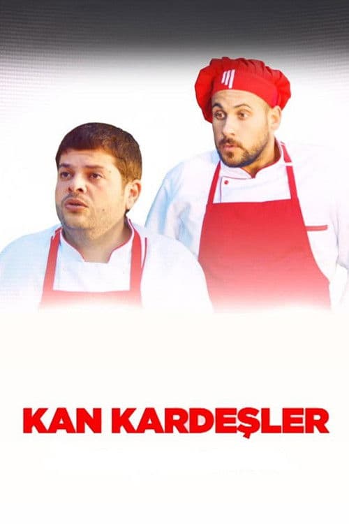 Kan Kardeşler poster