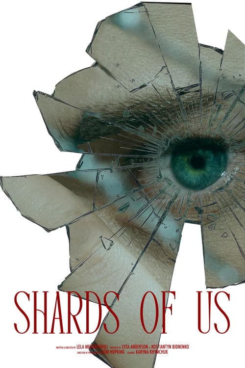 Shards of Us poster
