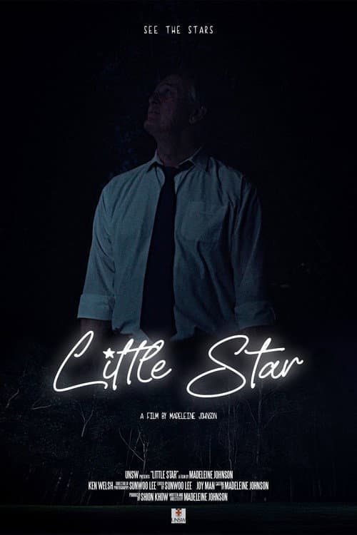 Little Star poster
