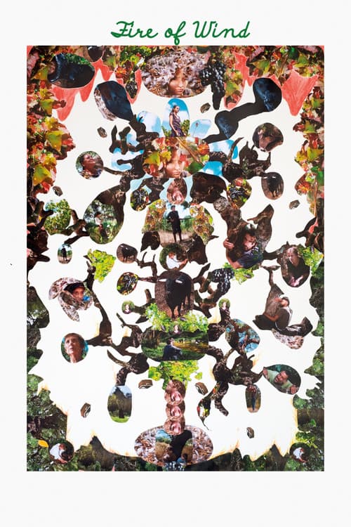 Fire of Wind poster
