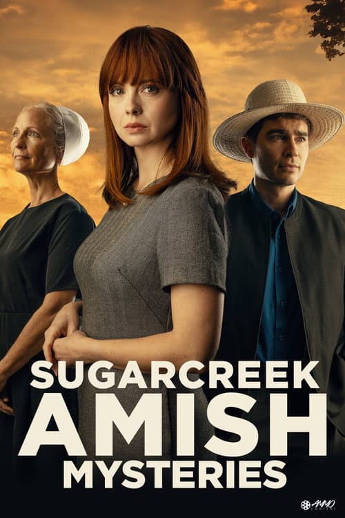 Sugarcreek Amish Mysteries: Blessings in Disguise poster