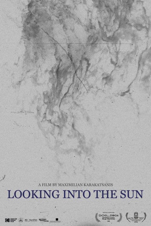 Looking Into the Sun poster