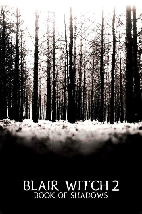 Book of Shadows: Blair Witch 2 poster