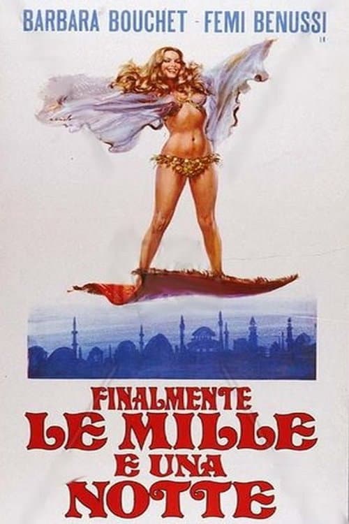 1001 Nights of Pleasure poster