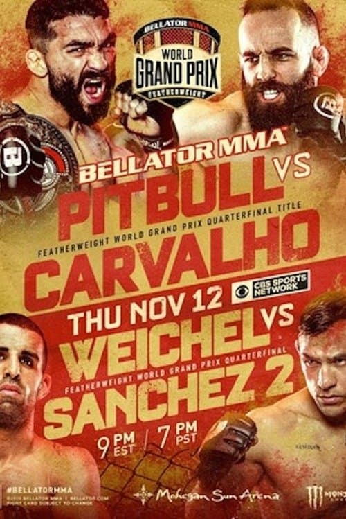 Bellator 252: Pitbull vs. Carvalho poster