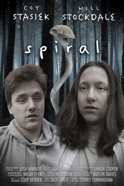 Spiral poster