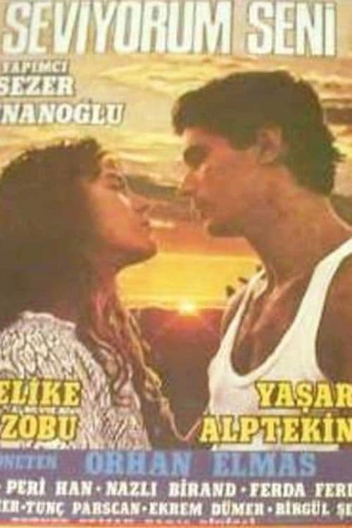 Seni Seviyorum poster