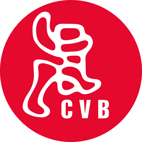 Centre Vidéo de Bruxelles