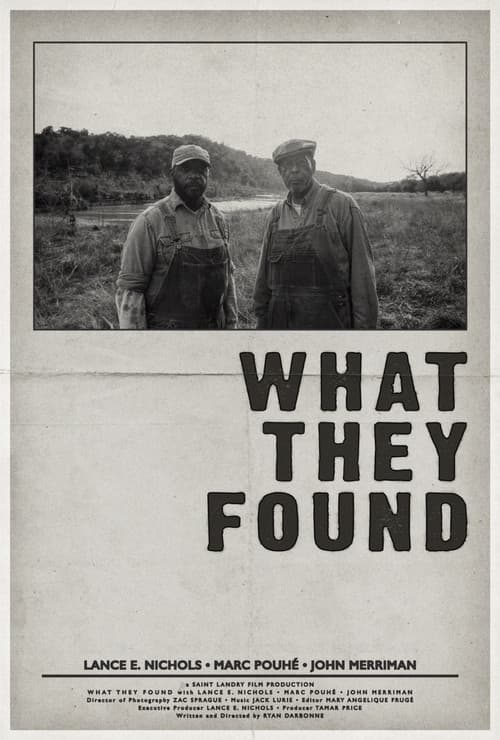 What They Found poster