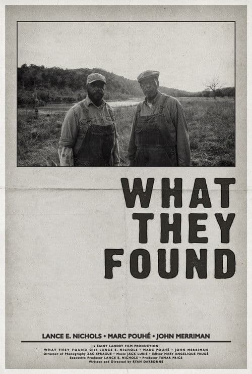 What They Found poster