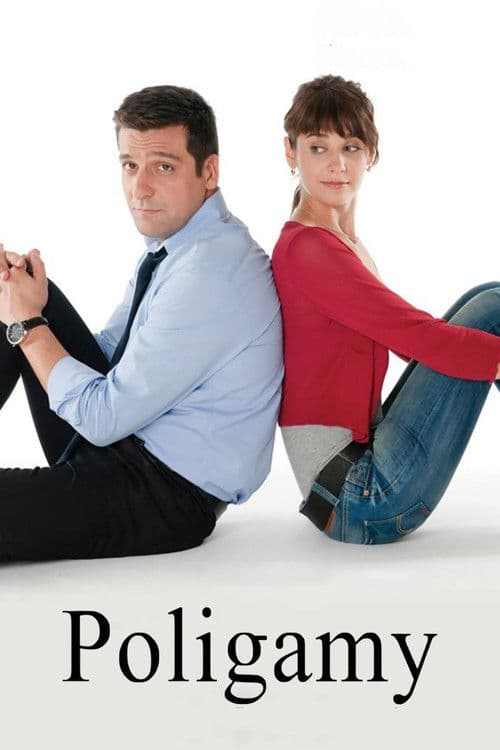 Poligamy poster